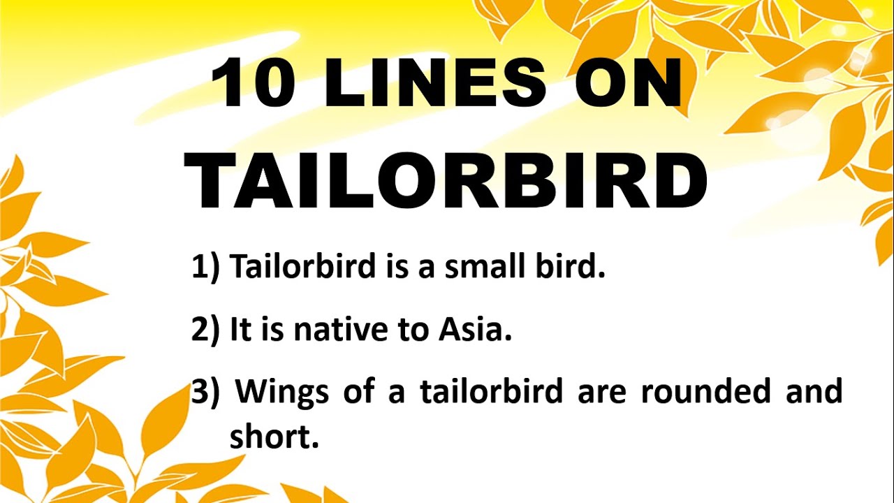 tailor bird essay in english