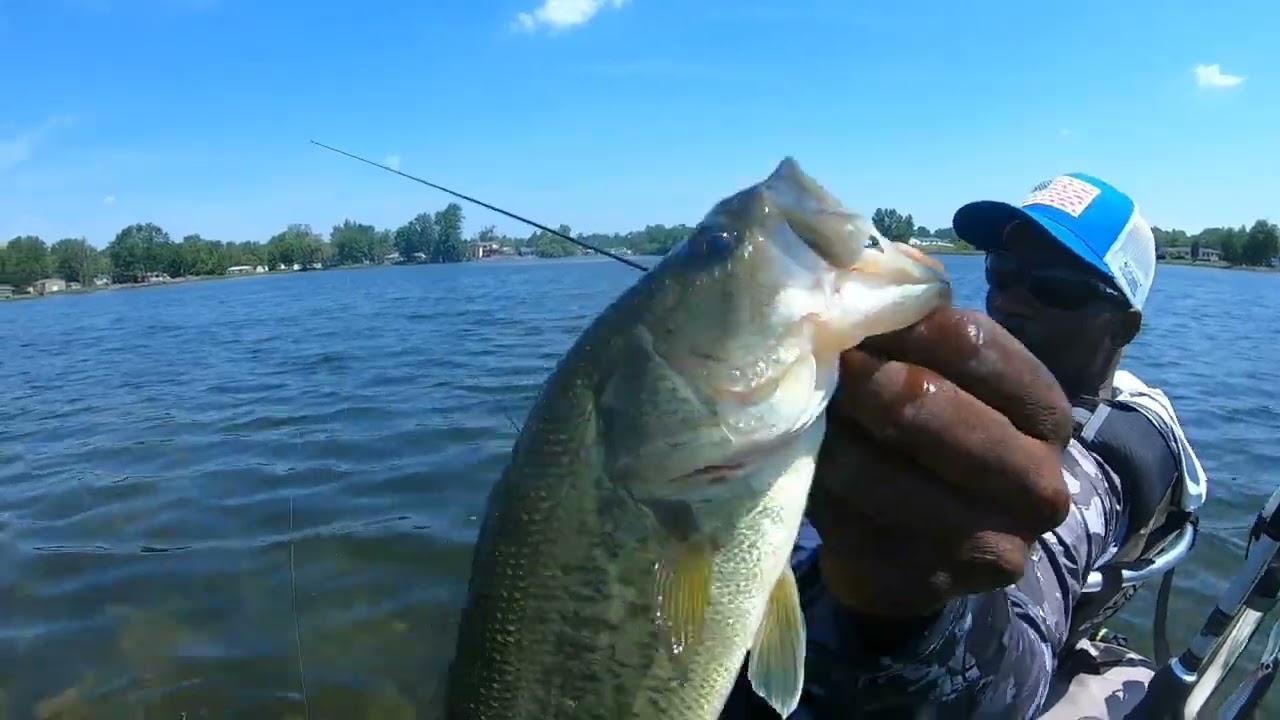 Topwater Bass Fishing Is Here!!