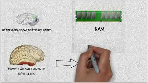 Human Brain Compared to a Computer  || Interesting Facts