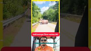 insiden vibro roller #excavator #alatberat #videoalatberatyt #shorts #short #vibro #tandem