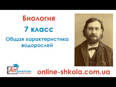 Биология. 7 класс. Общая характеристика водорослей. Онлайн-школа Альтернатива