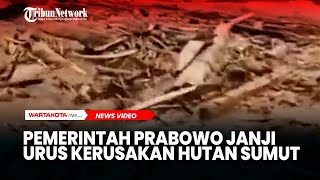 Download Lagu Pemerintah Prabowo Janji Urus Kerusakan Hutan Sumatra Utara MP3