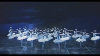 間奏曲「白鳥の湖」ワイルズ＆シュピレフスキー、ルーマニア国立バレエ　Swan Lake M.Wiles & A.Shpilevskiy,Romanian National Ballet