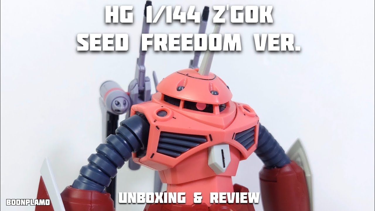 HG 1/144 Z'Gok Seed Freedom ver. | GaoGao