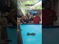 snooker genius 😆🤣 #goviral #funny #youtubeshorts