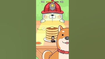 CAT ESCAPE GAME 541 //HIDE AND SEEK// #shorts #cat #gaming #shortvideo #ytshorts #shortsfeed