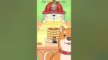 CAT ESCAPE GAME 541 //HIDE AND SEEK// #shorts #cat #gaming #shortvideo #ytshorts #shortsfeed