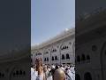 kabay ki ronaq kabay ka manzar#ghulammustafaqadri#foryou#love#trending#viral#fyp#ytshorts#yt#edit###