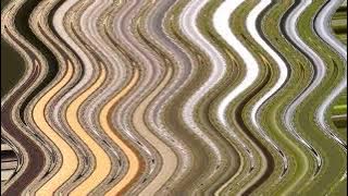 the return of boulder in super duper high pitched