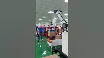 Palletizing robot #six-axis robot #industrial robots
