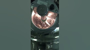 Becomix RW2.5 Homogenizer