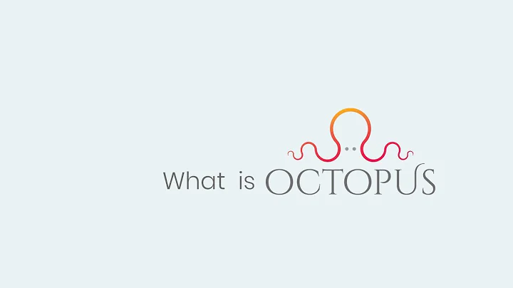 Octopus: Empowering Customer Interactions with AI ML Chatbot | BC Web Wise