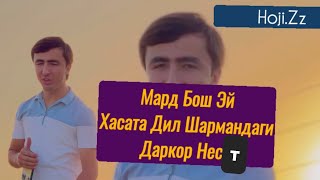 hoji.zz Мард Бош Эй Хаста Дил Шармандаги Даркор Нест