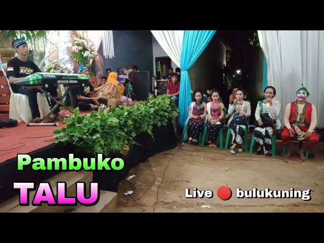 Gending Talu || Pambuko New Arista Musik || Live 🔴 bulukuning class=