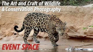 The Art and Craft of Wildlife and Conservation Photography