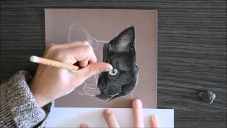 Chat Aux Pastels Secs