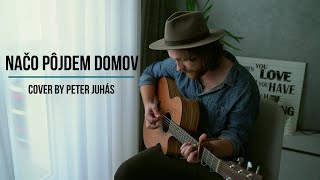 Video thumbnail of "''Načo pôjdem domov'' - ľudová pieseň (sundaycover by Peter Juhás)"