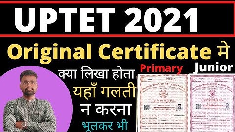 #uptet #form #ctet UPTET2021 के Original Certificate मे क्या Details लिखी होती है | यहाँ गलती न करना