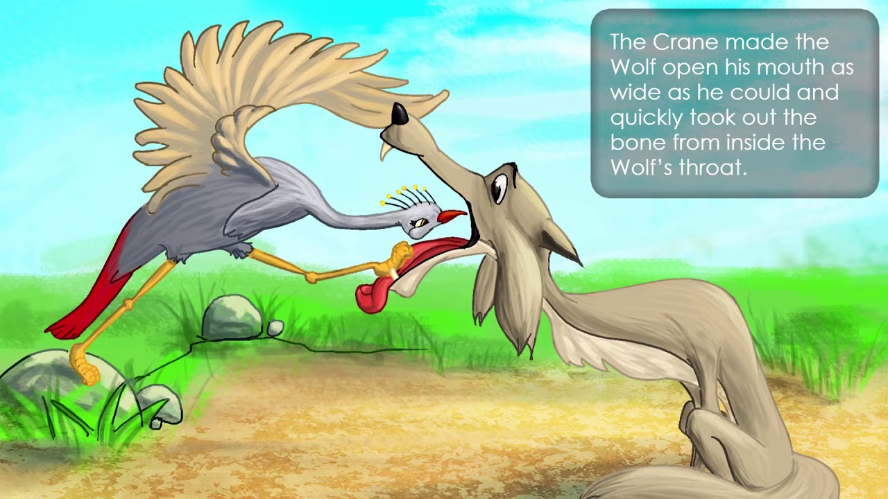 The Wolf and the Crane YouTube