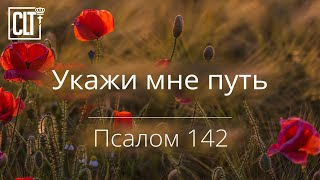 Укажи мне путь, по которому мне идти | Псалом 142 | Библия