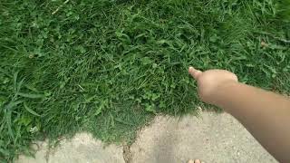 I touched grass