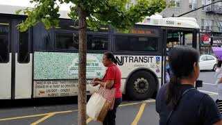 NJ Transit 159 (5280) New York🗽 via Bergenline av