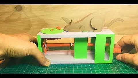 Cat & Mouse Automata