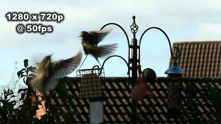 Panasonic FZ100 Interlace versus Progressive Test