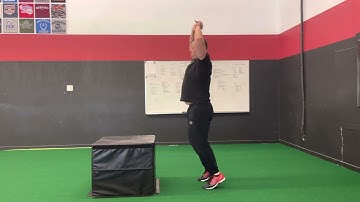Snap Down + Single Leg Landing Box Jump
