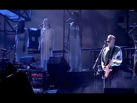 Pink Floyd - " Great Day for Freedom " Pulse 1994