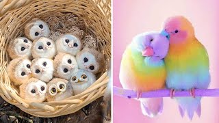 Smart And Funny Parrots Parrot Talking Videos Compilation (2023) - Cute Birds #44 by Parrots Fun TV 48,352 views 4 months ago 32 minutes