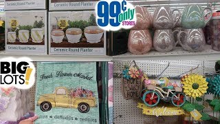 BIG LOTS & 99 CENT ONLY STORE * SHOP WITH ME