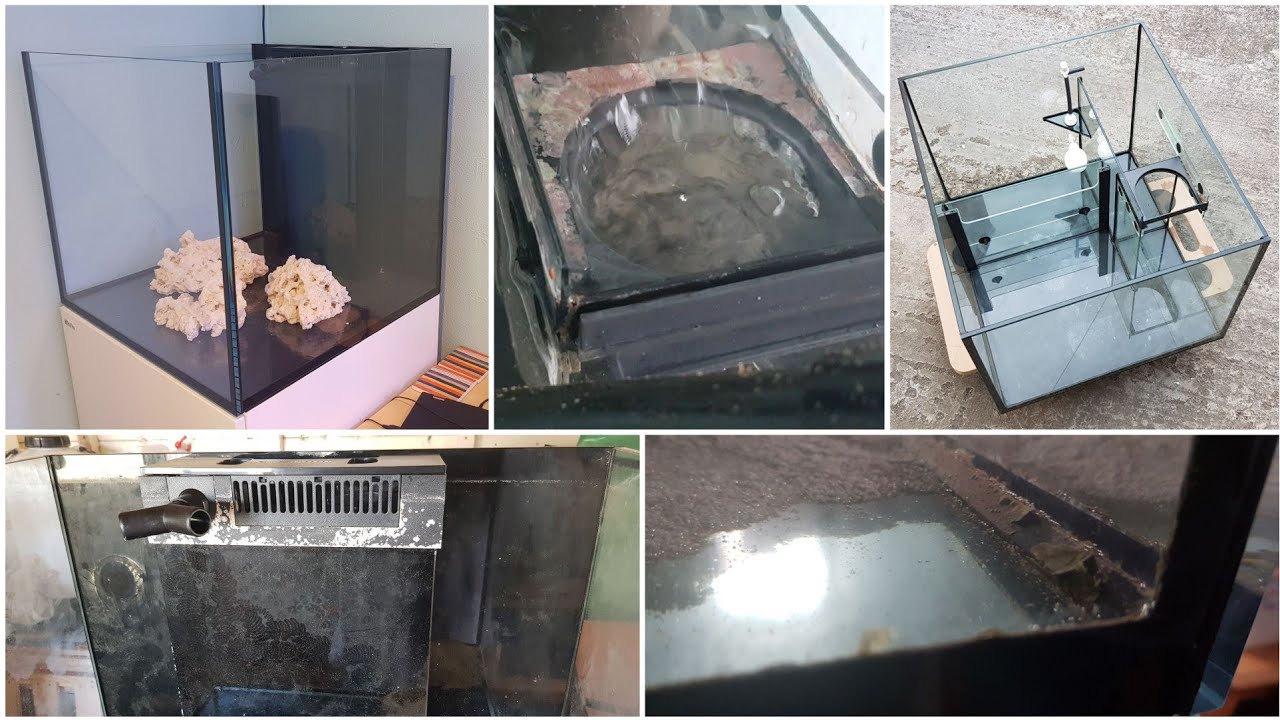 How To Clean A Used Reef Tank Citric Acid Red Sea Reefer XL200