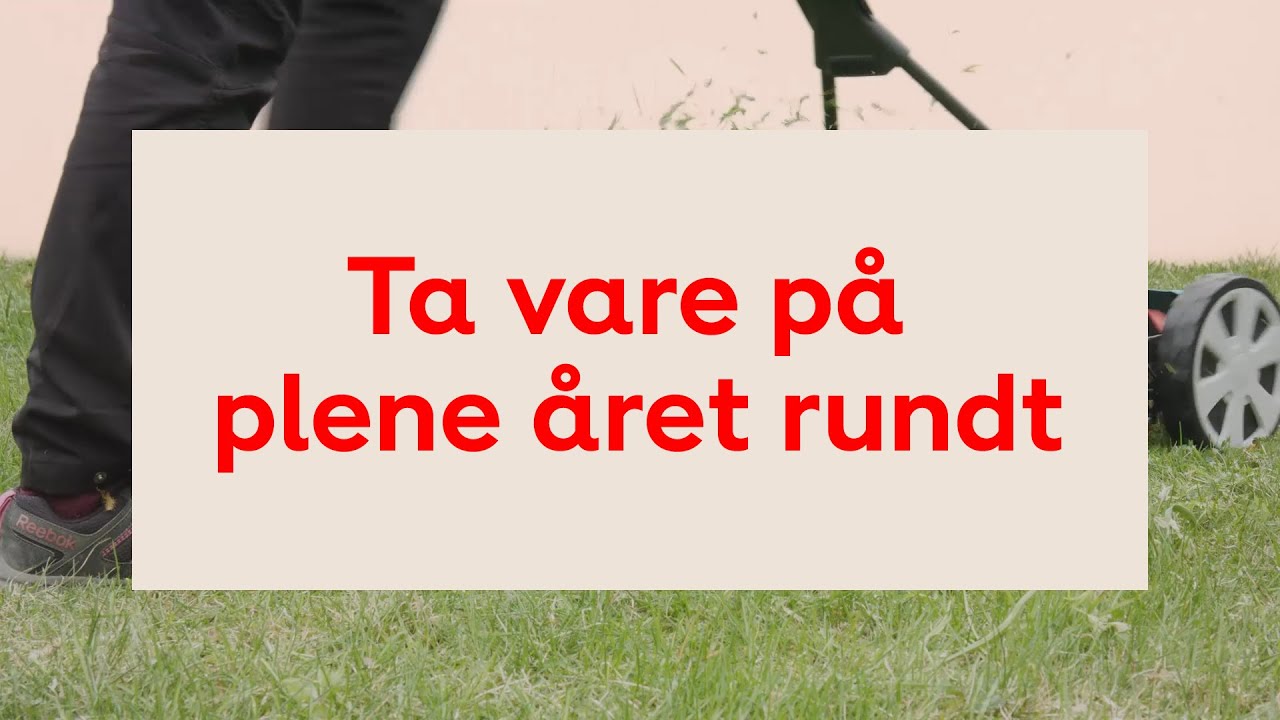 såing av plen