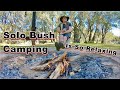 Solo camping under the snow gums 