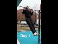 Day 1 of 100 Days of Pull-Ups