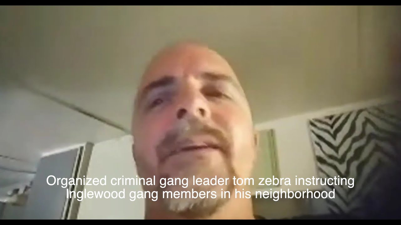 tmfz gang shit inglewood police