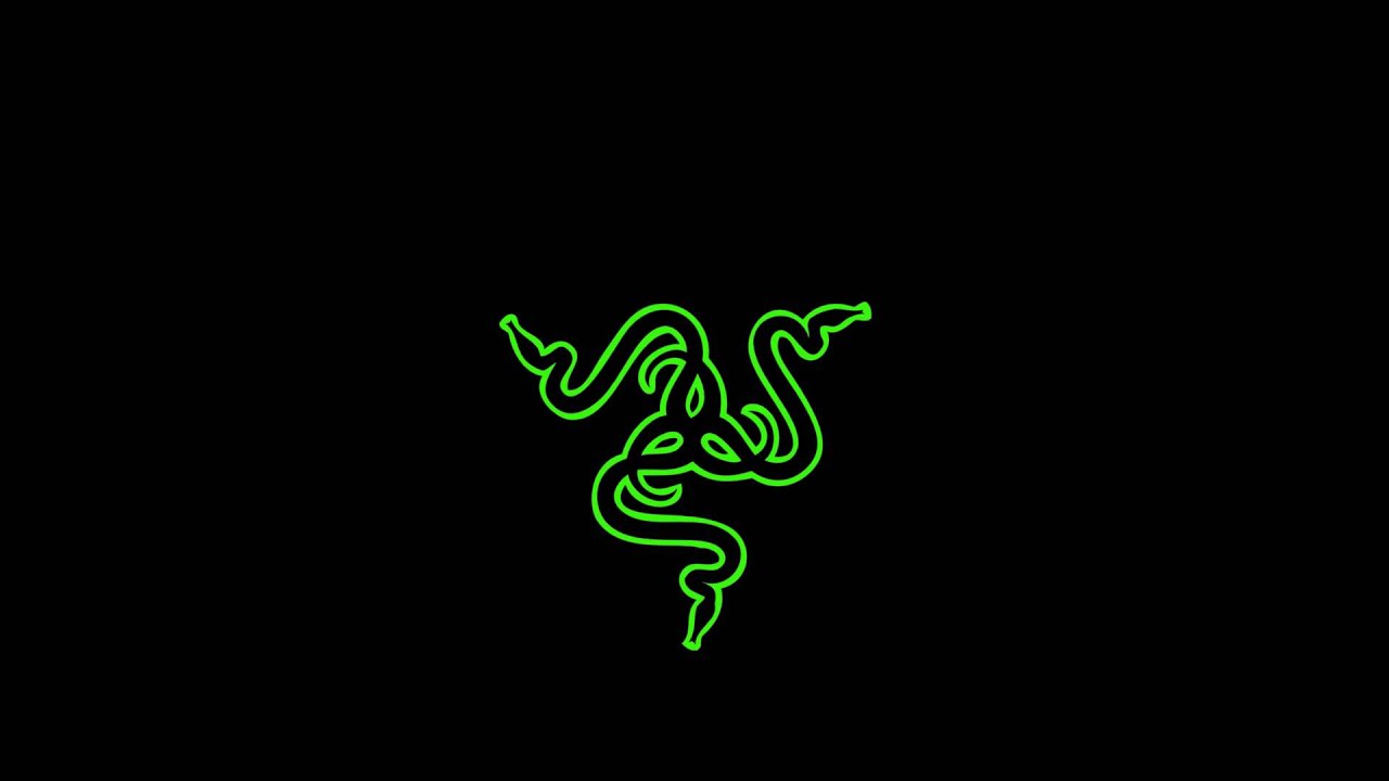 Razer Gaming Logo