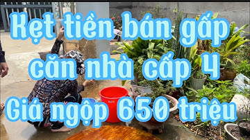Kẹt tiền bán gấp căn nhà cấp 4 mặt tiền đường nhựa giá ngộp 650 triệu gò quao kiên Giang