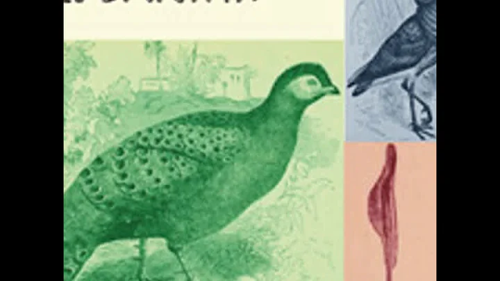 The Descent of Man and Selection in Relation to Sex, Part 2 by Charles DARWIN Part 1/3 | Audio Book