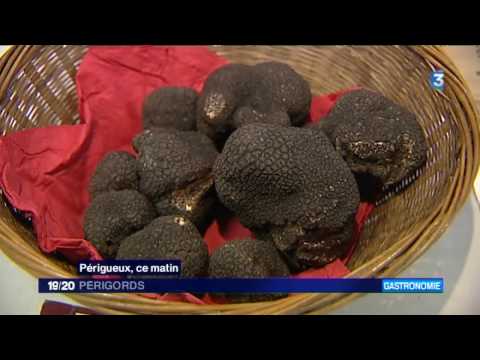 Périgord : des truffes à prix flambés !