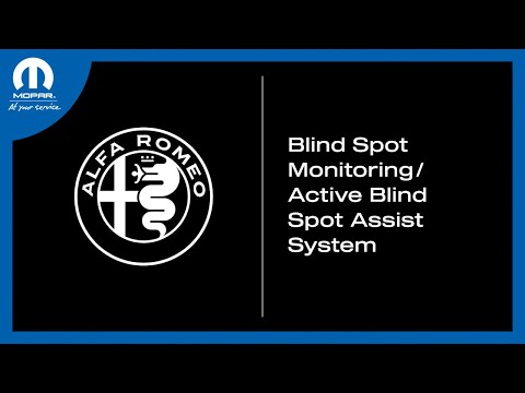 Blind Spot Monitoring/Active