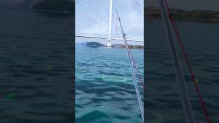 fishing #vr #vrfishing #shorts
