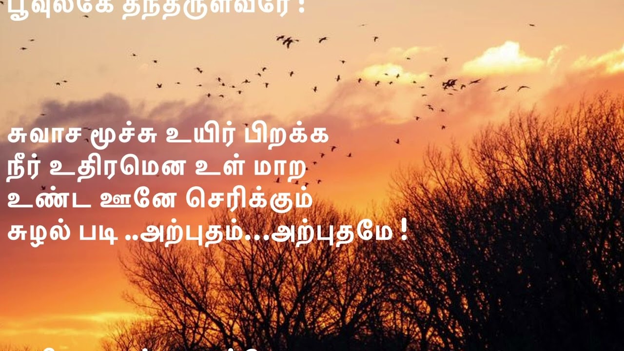 அழியா ஆன்ம வாழ்வே வானுலகே தந்தருள்வீரே @ துளிலன்