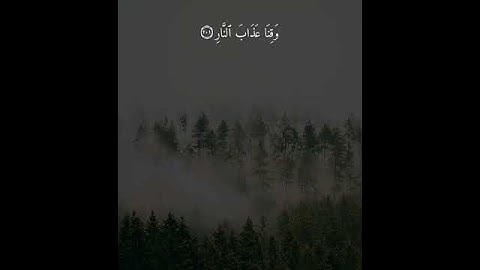 قران كريم. راحه نفسيه..ثواني من وقتك #اكسبلور #دويتو #فولو #duet #لايك
