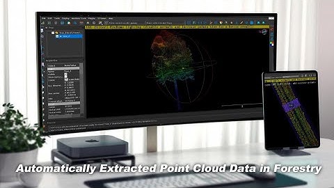 Automatically Extracted Lidar Point Cloud Data in Forestry