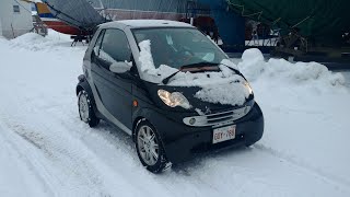 2006 Smart Car Fortwo Cdi Diesel Cold Start and Short Drive