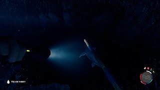 Sons Of The Forest: Shark Cave