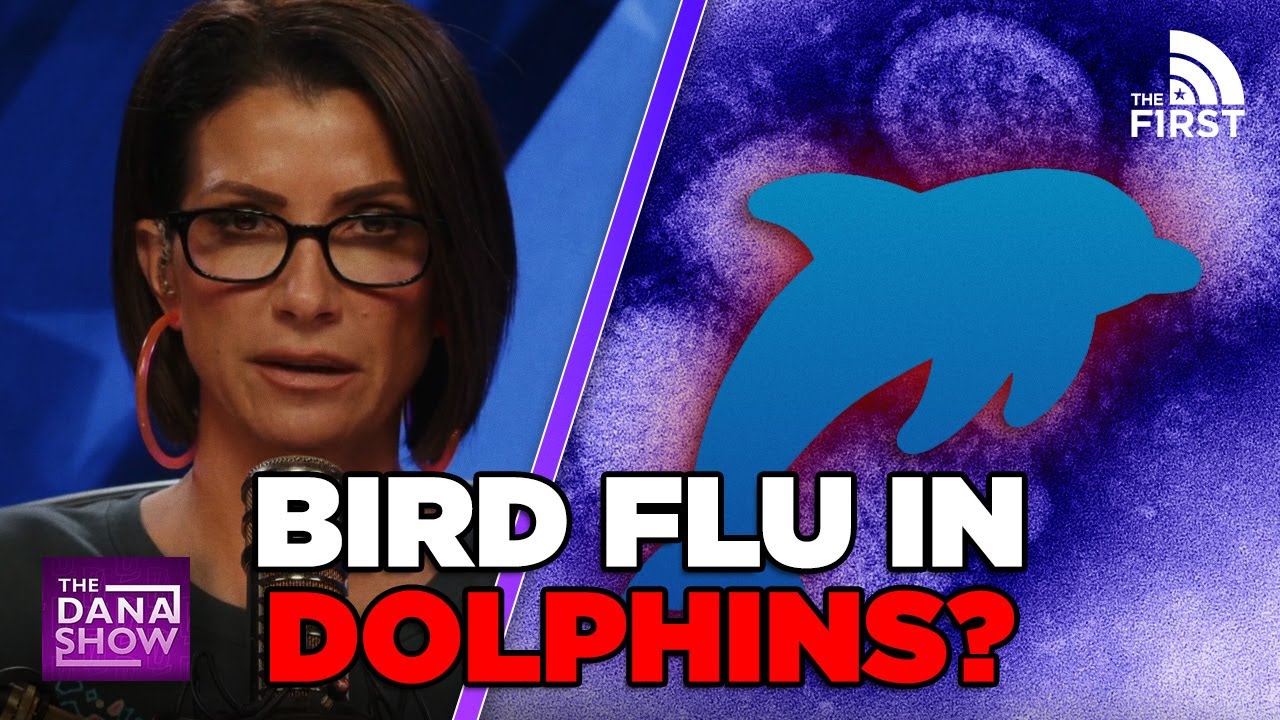 SHOULD WE BE WORRIED?!: Bird Flu Is Found In A DOLPHIN - YouTube