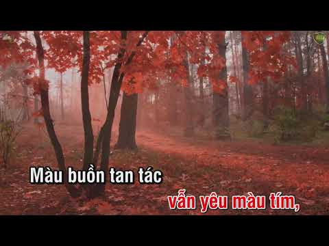 Video Karaoke Chuyện hoa sim - Như Quỳnh (tone Nữ) | Hoàng... - youtube